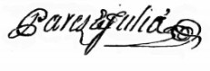 Signature Pares Julia