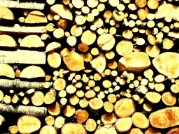 Tas de bois Tas de bois