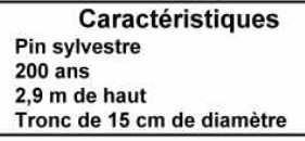Caracteristiques du poin Caracteristiques du poin
