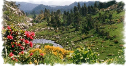 Mosset La Balmette Mosset La Balmette