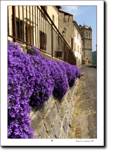 Page du numéro couleur 55 JDM N°55